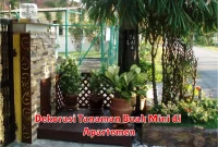 Dekorasi Tanaman Buah Mini di Apartemen