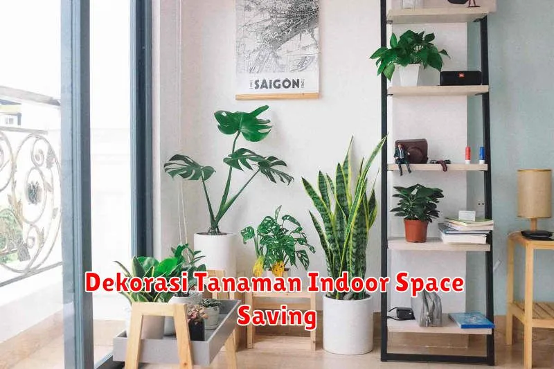 Dekorasi Tanaman Indoor Space Saving