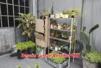 Desain Taman Vertikal DIY