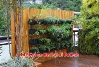 Ide Kebun Herbal di Rumah