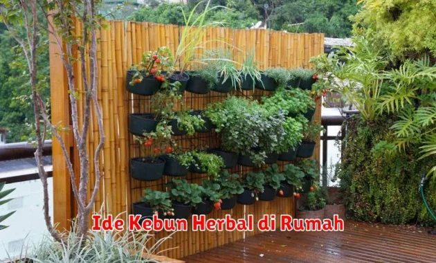 Ilustrasi kebun herbal rumahan untuk panduan Daun Afrika: Cara Menanam, Merawat, dan Catatan Keamanan