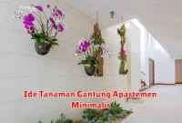 Ide Tanaman Gantung Apartemen Minimalis