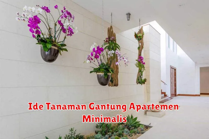 Ide Tanaman Gantung Apartemen Minimalis