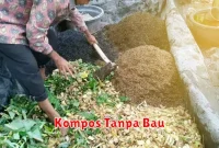 Kompos Tanpa Bau