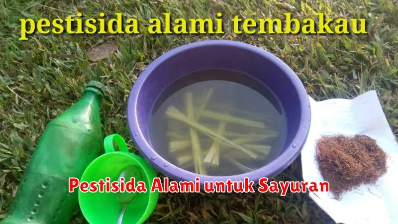 Pestisida Alami untuk Sayuran