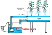 Sistem Aeroponik