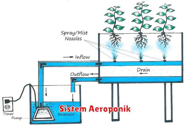 Sistem Aeroponik