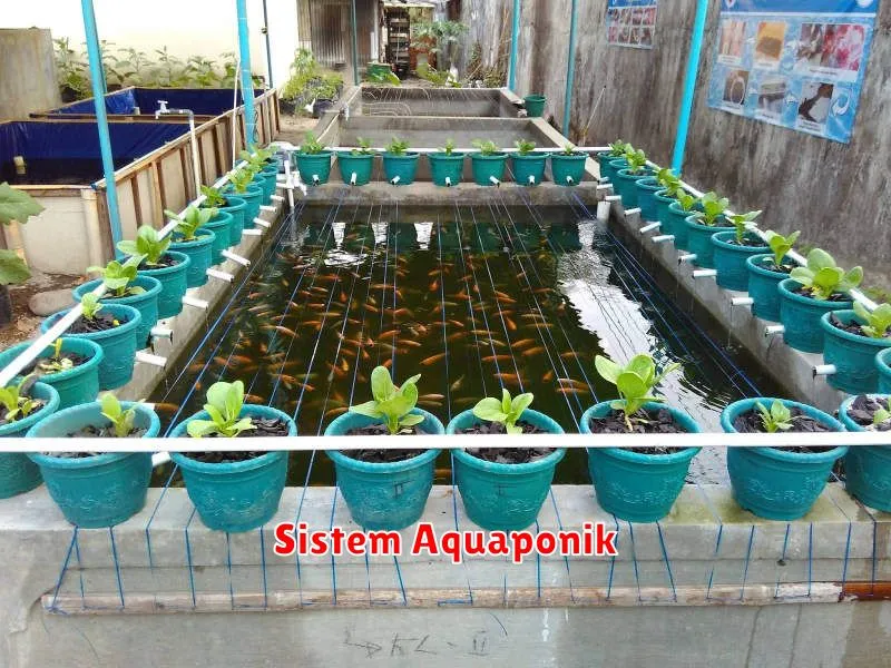 Sistem Aquaponik