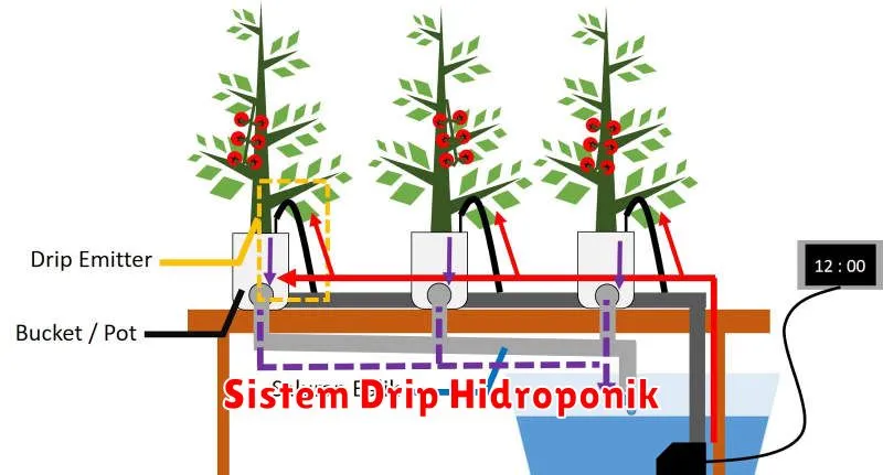 Sistem Drip Hidroponik