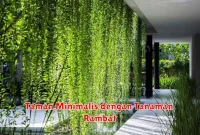 Taman Minimalis dengan Tanaman Rambat