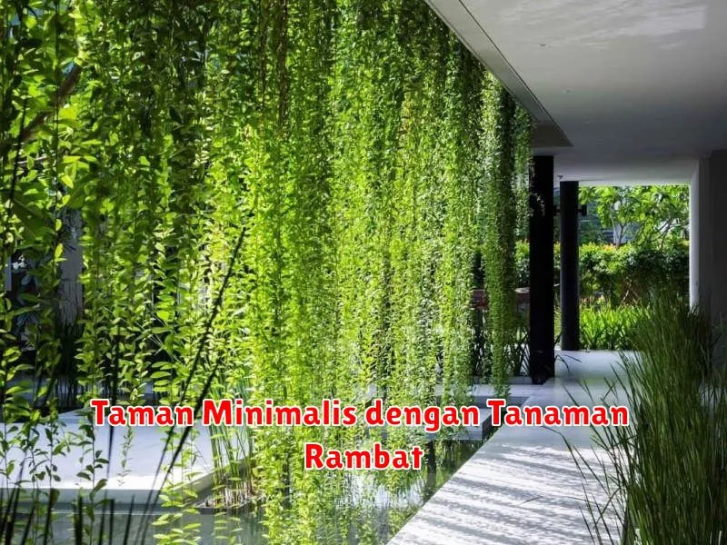 Taman Minimalis dengan Tanaman Rambat