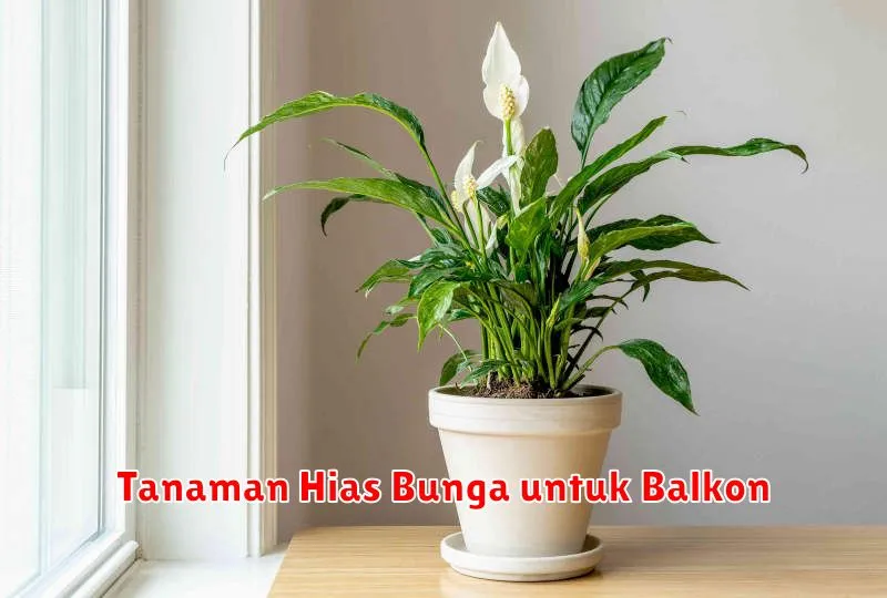 Tanaman Hias Bunga untuk Balkon