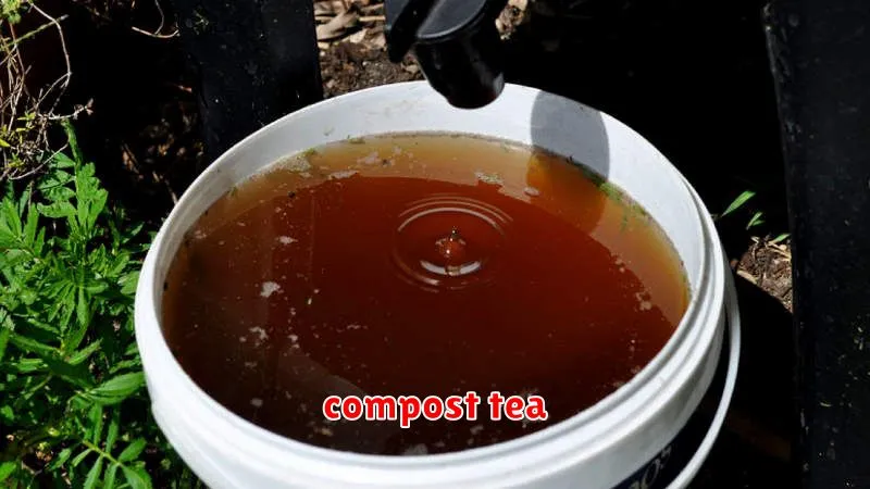 compost tea