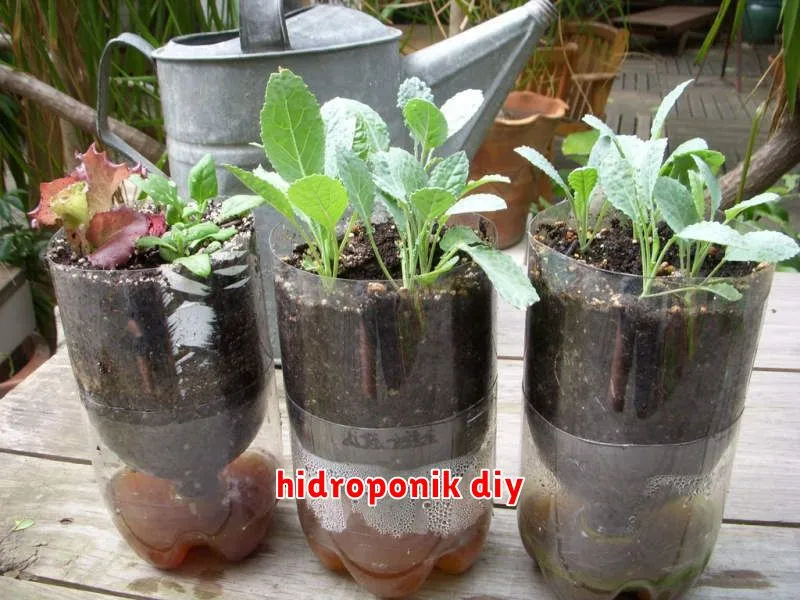 hidroponik diy