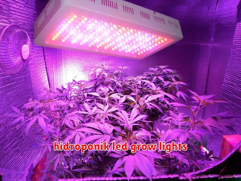 hidroponik led grow lights