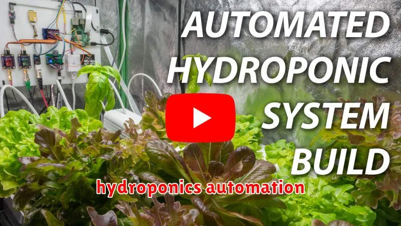 hydroponics automation