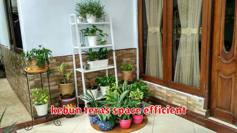 kebun teras space efficient