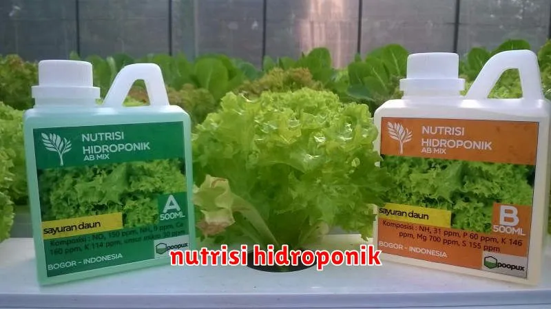 nutrisi hidroponik