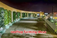 rooftop farming ideas