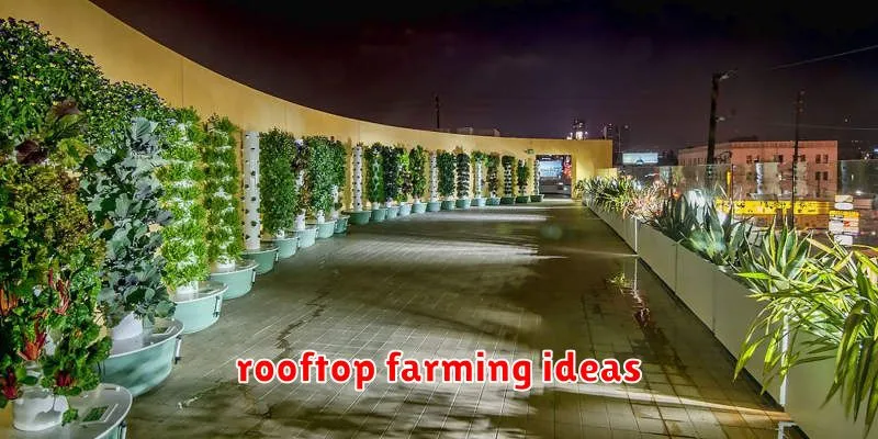 rooftop farming ideas