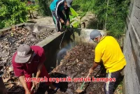 sampah organik untuk kompos