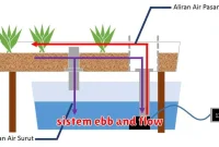 sistem ebb and flow