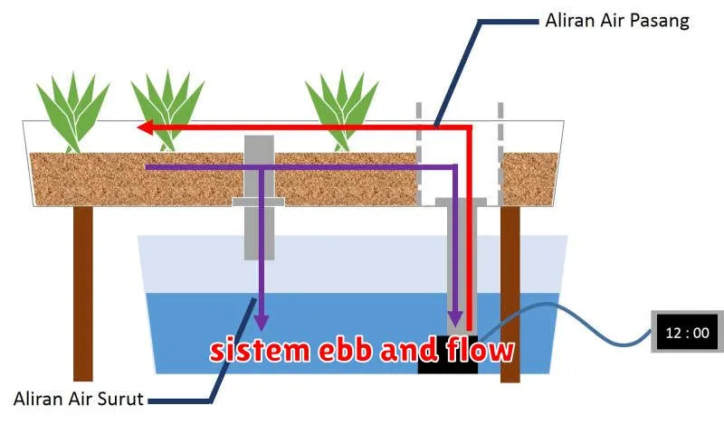 sistem ebb and flow