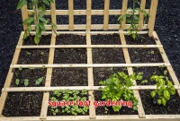 square foot gardening