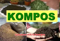 tanaman mikro kompos