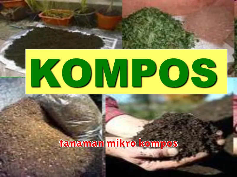 tanaman mikro kompos