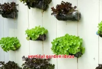 vertical garden ideas