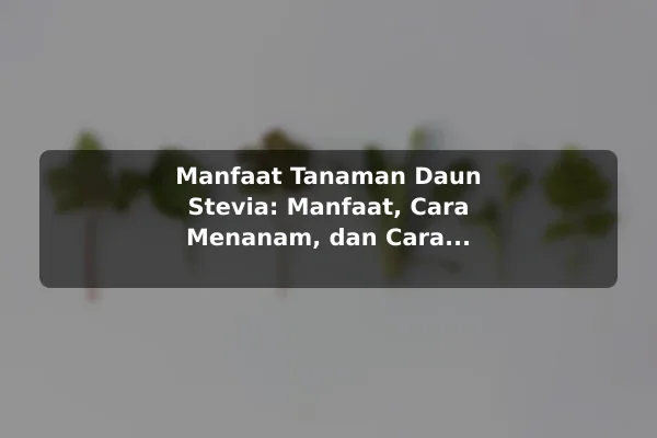 Manfaat Tanaman Daun Stevia: Manfaat, Cara Menanam, dan Cara Merawat Pemanis Alami
