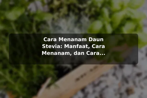 Cara Menanam Daun Stevia: Manfaat, Cara Menanam, dan Cara Merawat Pemanis Alami