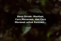 Daun Sirsak: Manfaat, Cara Menanam, dan Cara Merawat untuk Ramuan Herbal Daun Sirsak: Manfaat, Cara Menanam, dan Cara Merawat untuk Ramuan Herbal