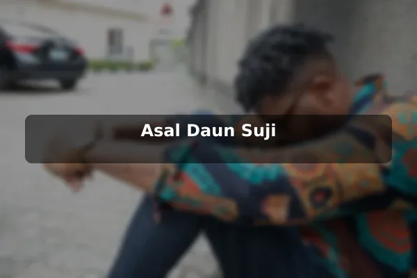 Asal Daun Suji