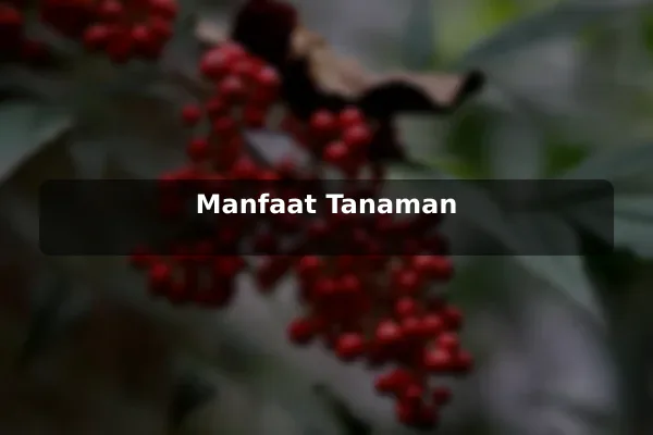 Manfaat Tanaman