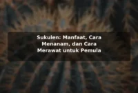 Sukulen: Manfaat, Cara Menanam, dan Cara Merawat untuk Pemula Sukulen: Manfaat, Cara Menanam, dan Cara Merawat untuk Pemula