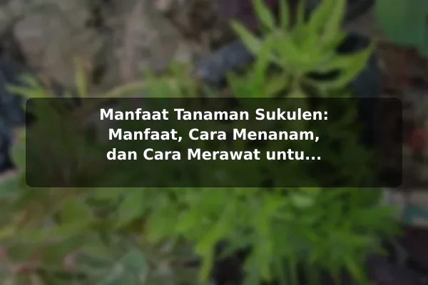 Manfaat Tanaman Sukulen: Manfaat, Cara Menanam, dan Cara Merawat untuk Pemula