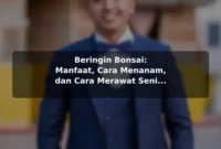 Beringin Bonsai: Manfaat, Cara Menanam, dan Cara Merawat Seni Tanaman Mini Beringin Bonsai: Manfaat, Cara Menanam, dan Cara Merawat Seni Tanaman Mini