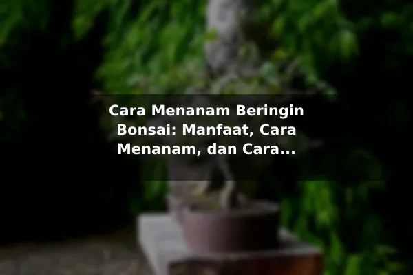 Cara Menanam Beringin Bonsai: Manfaat, Cara Menanam, dan Cara Merawat Seni Tanaman Mini