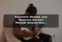 Peperomia: Manfaat, Cara Menanam, dan Cara Merawat Tanaman Hias Mini Peperomia: Manfaat, Cara Menanam, dan Cara Merawat Tanaman Hias Mini