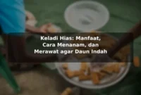 Keladi Hias: Manfaat, Cara Menanam, dan Merawat agar Daun Indah Keladi Hias: Manfaat, Cara Menanam, dan Merawat agar Daun Indah