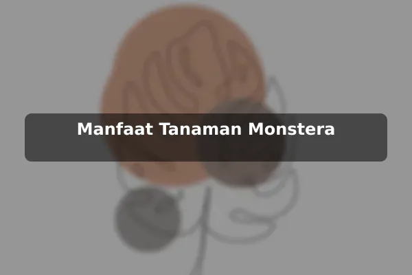 Manfaat Tanaman Monstera