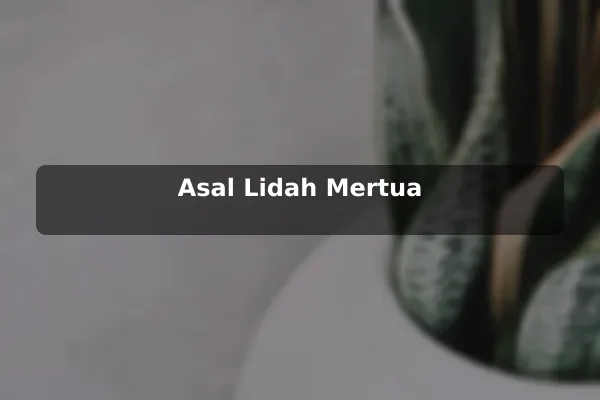 Asal Lidah Mertua