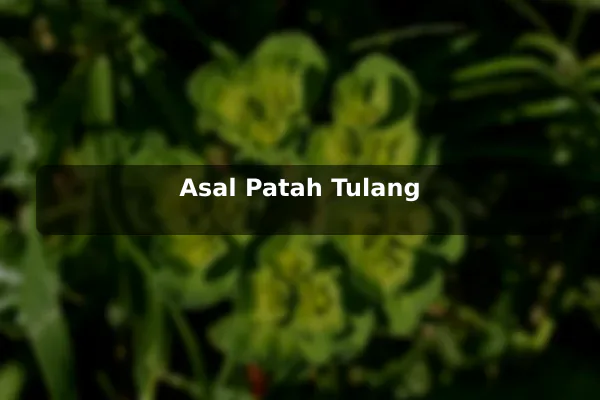 Asal Patah Tulang