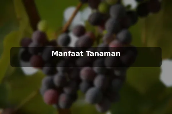 Manfaat Tanaman