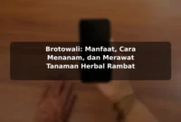 Brotowali: Manfaat, Cara Menanam, dan Merawat Tanaman Herbal Rambat Brotowali: Manfaat, Cara Menanam, dan Merawat Tanaman Herbal Rambat